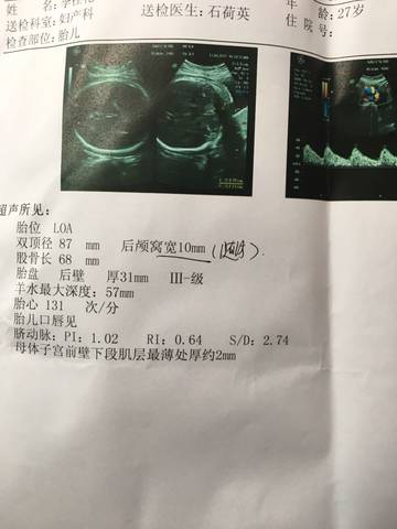 journal_insert_pic_721871883