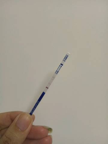 journal_insert_pic_723080012