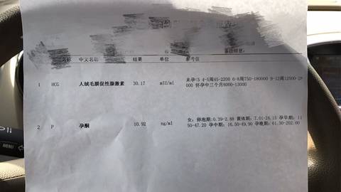journal_insert_pic_722654506