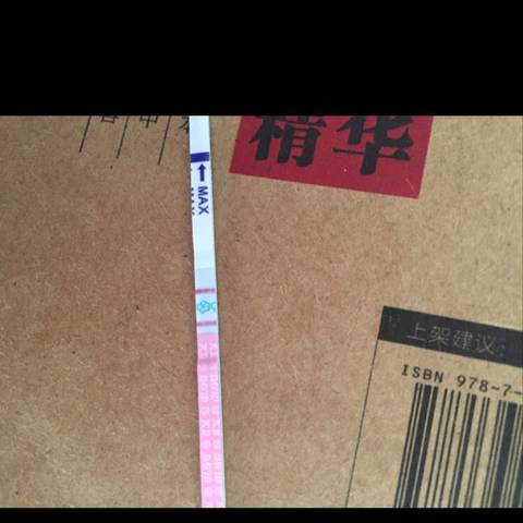 journal_insert_pic_723376906