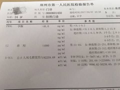 journal_insert_pic_723430171