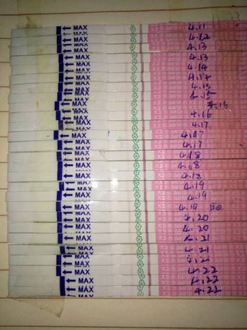 journal_insert_pic_724318224