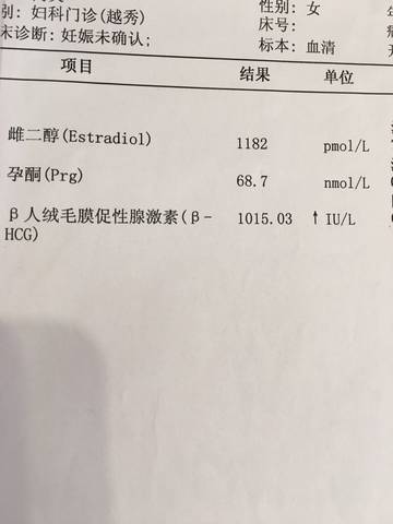 journal_insert_pic_724164213