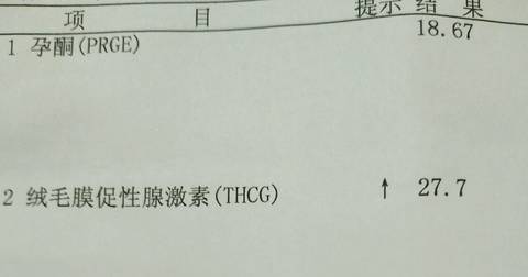 journal_insert_pic_725108418