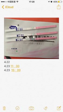 journal_insert_pic_725129735