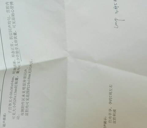 journal_insert_pic_725054194