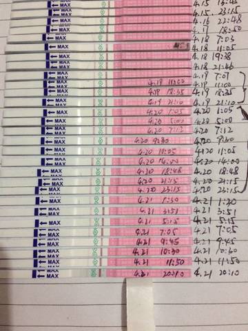 journal_insert_pic_724746578