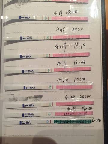 journal_insert_pic_726139783