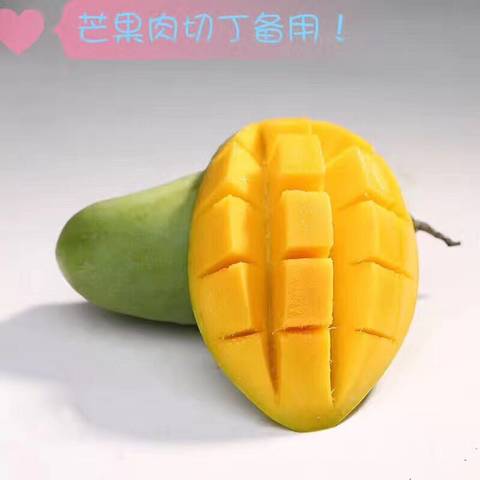 journal_insert_pic_726277172
