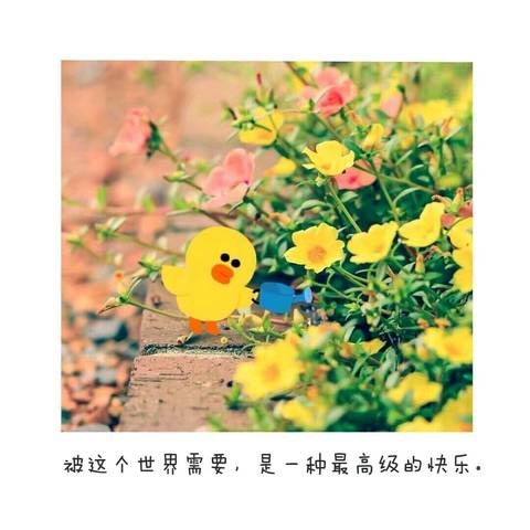 journal_insert_pic_725526753