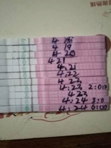 journal_insert_pic_726014329