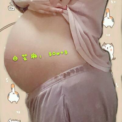 journal_insert_pic_726860511