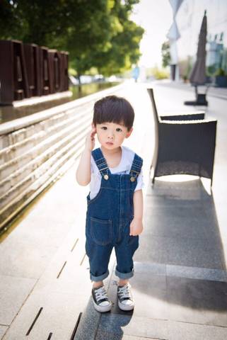 journal_insert_pic_726290838