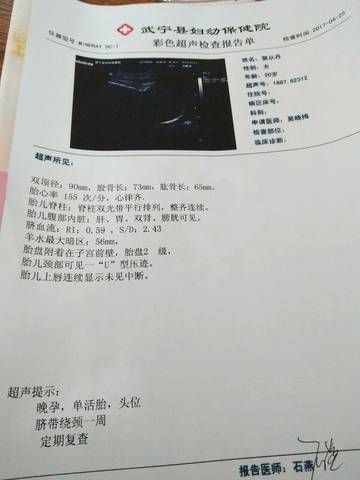 journal_insert_pic_726623023