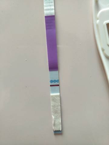 journal_insert_pic_727387520