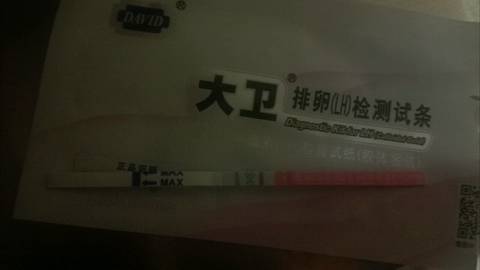 journal_insert_pic_727350987