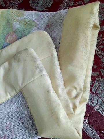 journal_insert_pic_727064002