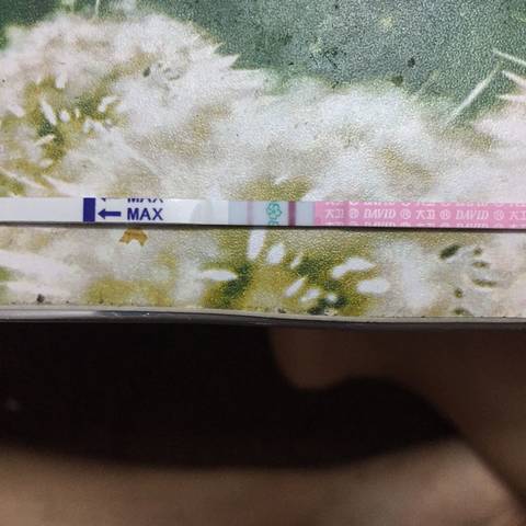 journal_insert_pic_727576983