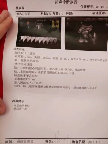 journal_insert_pic_728104791