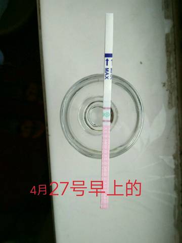 journal_insert_pic_729075746