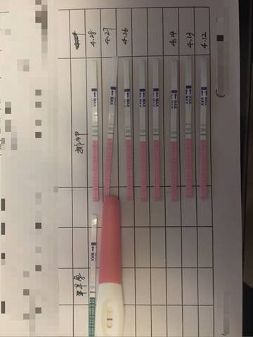 journal_insert_pic_729153463