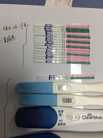journal_insert_pic_729275030