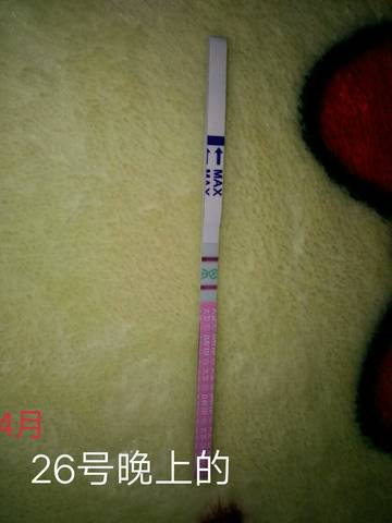 journal_insert_pic_729075737
