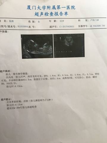 journal_insert_pic_729635120