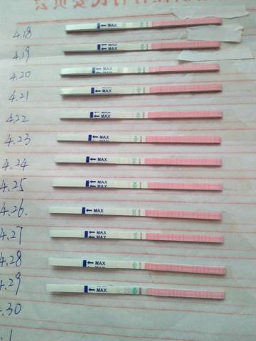 journal_insert_pic_729754857