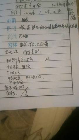 journal_insert_pic_729576178
