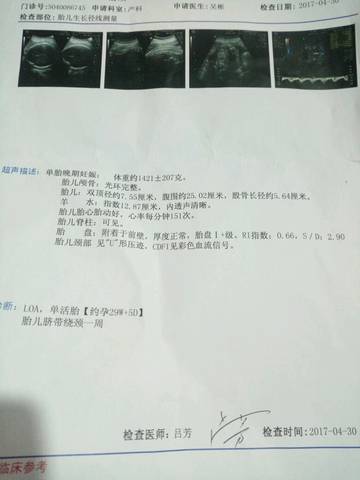 journal_insert_pic_730509689