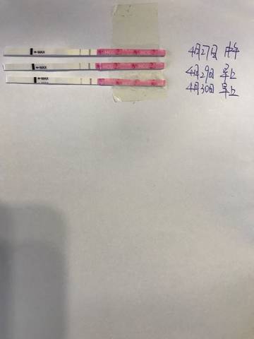 journal_insert_pic_730233113
