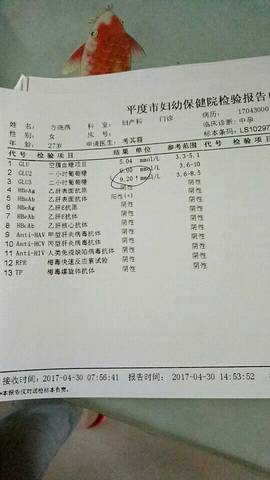 journal_insert_pic_730608602