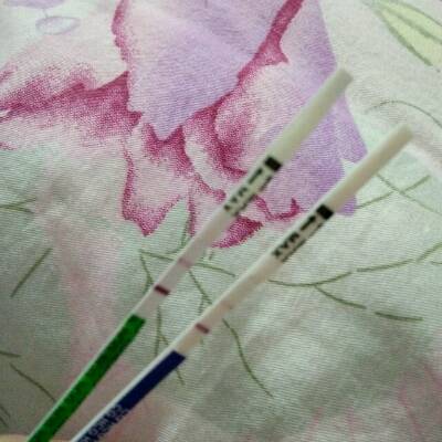 journal_insert_pic_731525724