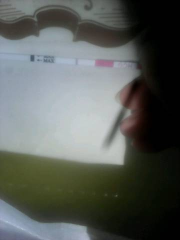 journal_insert_pic_730992269
