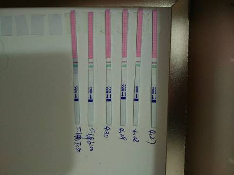 journal_insert_pic_731558150