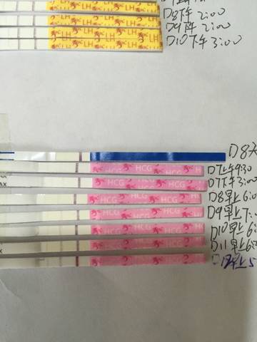 journal_insert_pic_732373490