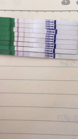 journal_insert_pic_731936843