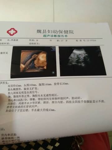journal_insert_pic_732206128