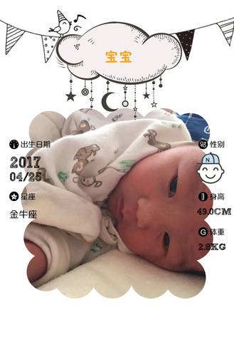 journal_insert_pic_732069182