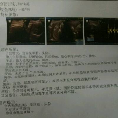 journal_insert_pic_732153300