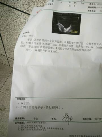 journal_insert_pic_733126030