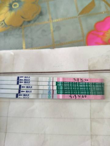 journal_insert_pic_732707814