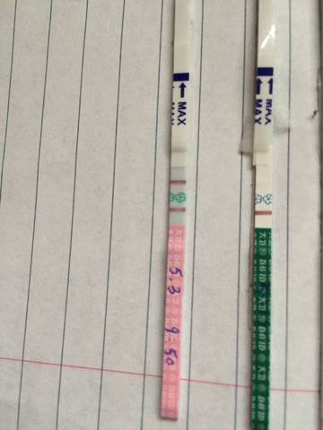 journal_insert_pic_732817804