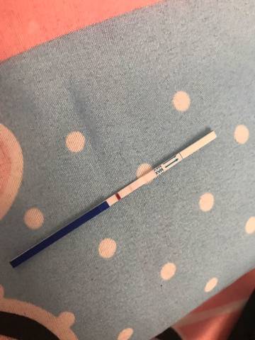 journal_insert_pic_734069823