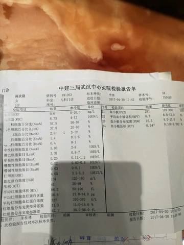 journal_insert_pic_733664061