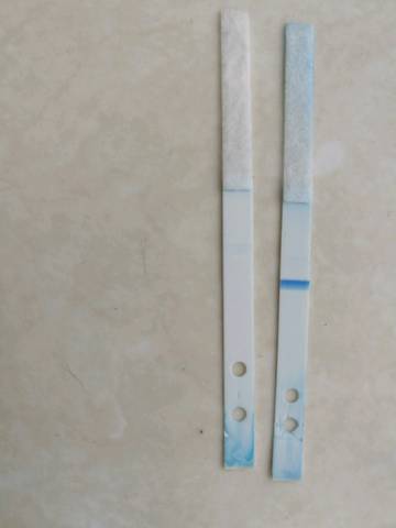 journal_insert_pic_734381028