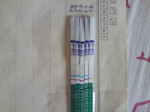 journal_insert_pic_735283259