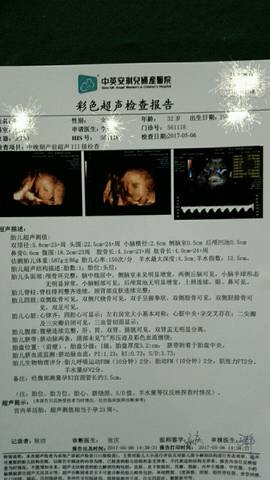 journal_insert_pic_735542172