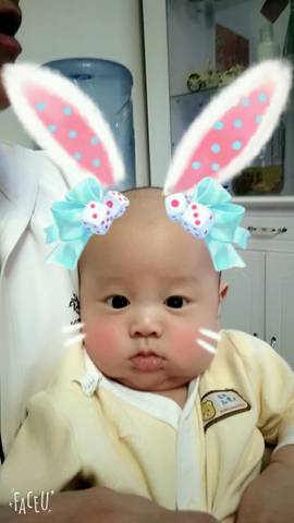 journal_insert_pic_736225184